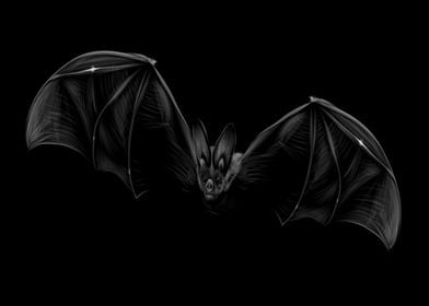 Portrait of a bat