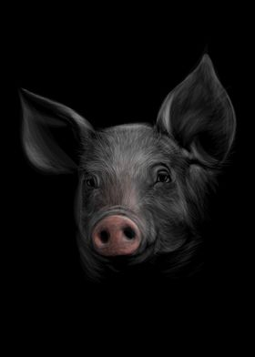 Portrait of a pig