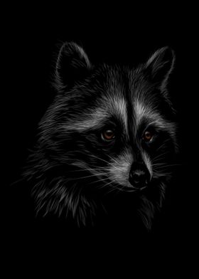 Portrait of a cute raccoon