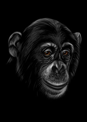 Portrait of a chimpanzee