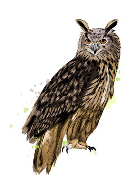 eagle owl watercolor