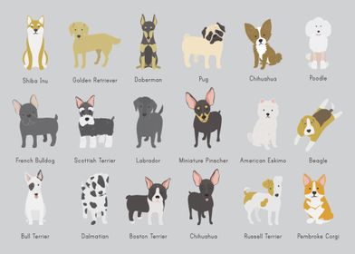 dogs collection