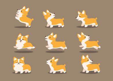 Cute corgi dog