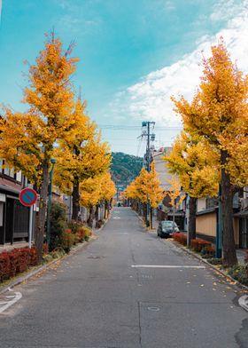 Autumn In Japan