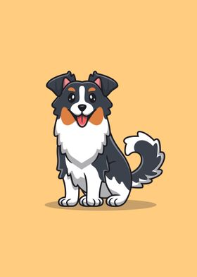 Cute australian shepherd