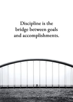 Discipline Bridge