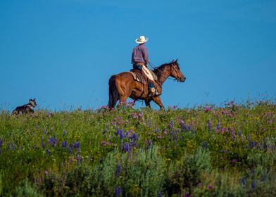 Lone Cowboy on Horseback