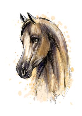 Horse head portrait