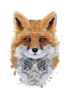 Fox head portrait