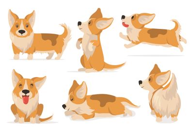 Friendly corgi