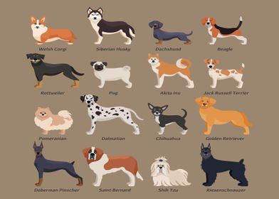 Colored purebred dogs