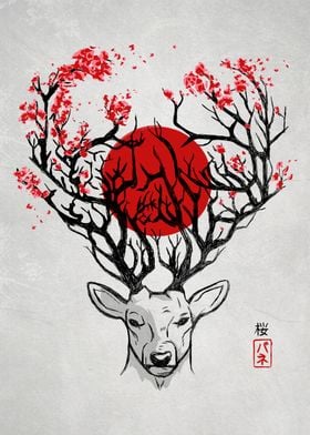 Japan Deer 
