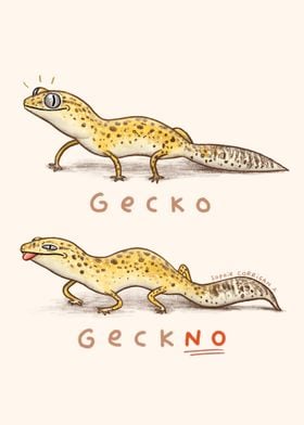 Gecko Geckno