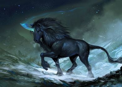 Black Mountain Unicorn