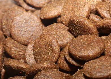 Dogs dry food background