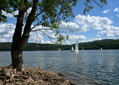 Lake Idyll