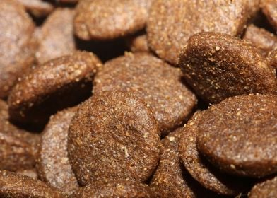 Animals dry food close up