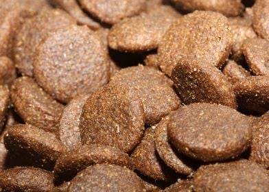 Dogs dry food background