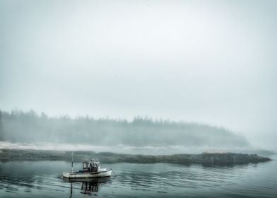 Foggy Morning on Schoodic