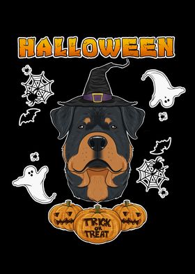 Halloween Rottweiler