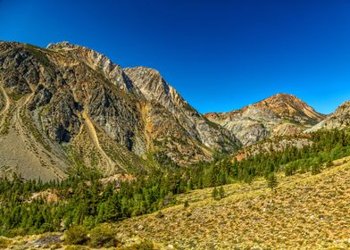 Tioga Pass Yosemite Park