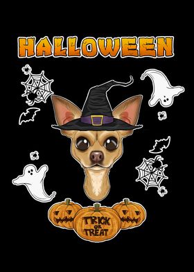 Halloween Chihuahua