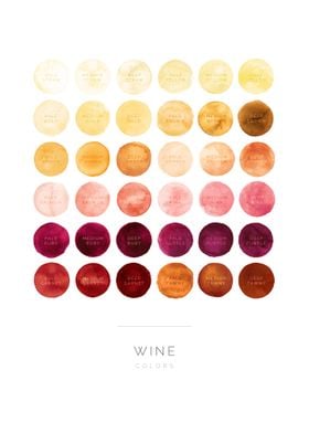 Wine guide 