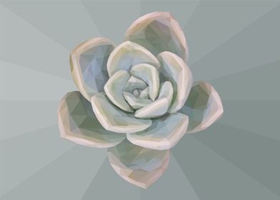 Low Poly Faded Succulent