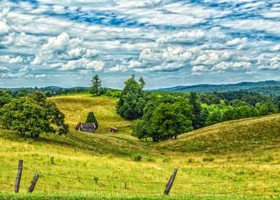 The Old Barn