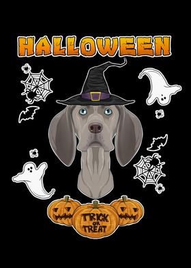 Happy Halloween Weimaraner