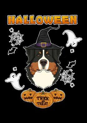 Halloween Bernese Mountain