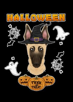 Happy Halloween Malinois