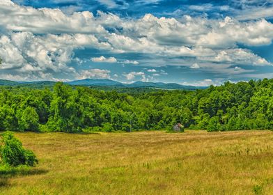 Virginia Summer Meadow