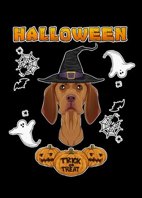 Happy Halloween Vizsla