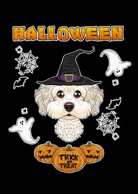 Halloween Bichon Frise