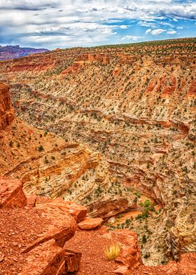 Capitol Reef National Park