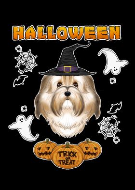 Happy Halloween Havanese