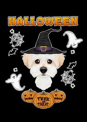 Happy Halloween Maltese