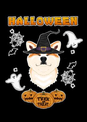 Halloween Akita Inu