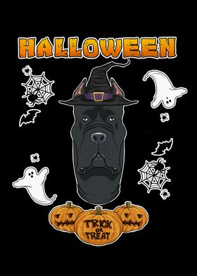 Happy Halloween Cane Corso