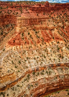 Capitol Reef National Park