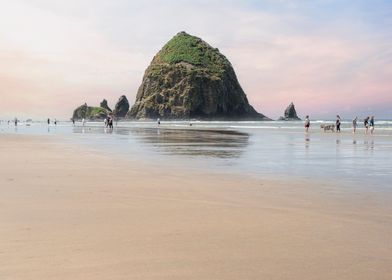 A walk on the beach