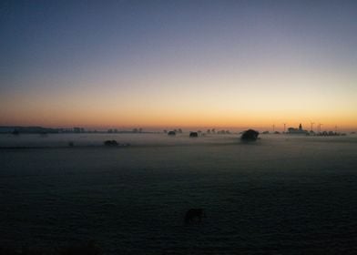 Foggy field at sunrise