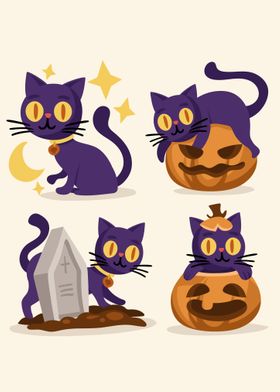 Halloween Cat