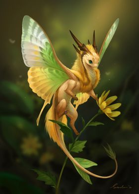 Yellow Fairy Dragon