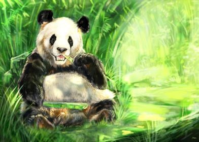 Giant Panda