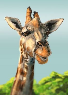 Giraffe Portrait