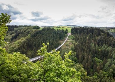 Hanging Rope Bridge