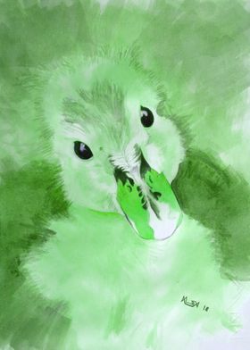 Innocent Eyes green - Duck