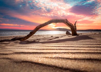 Driftwood at Aberavon